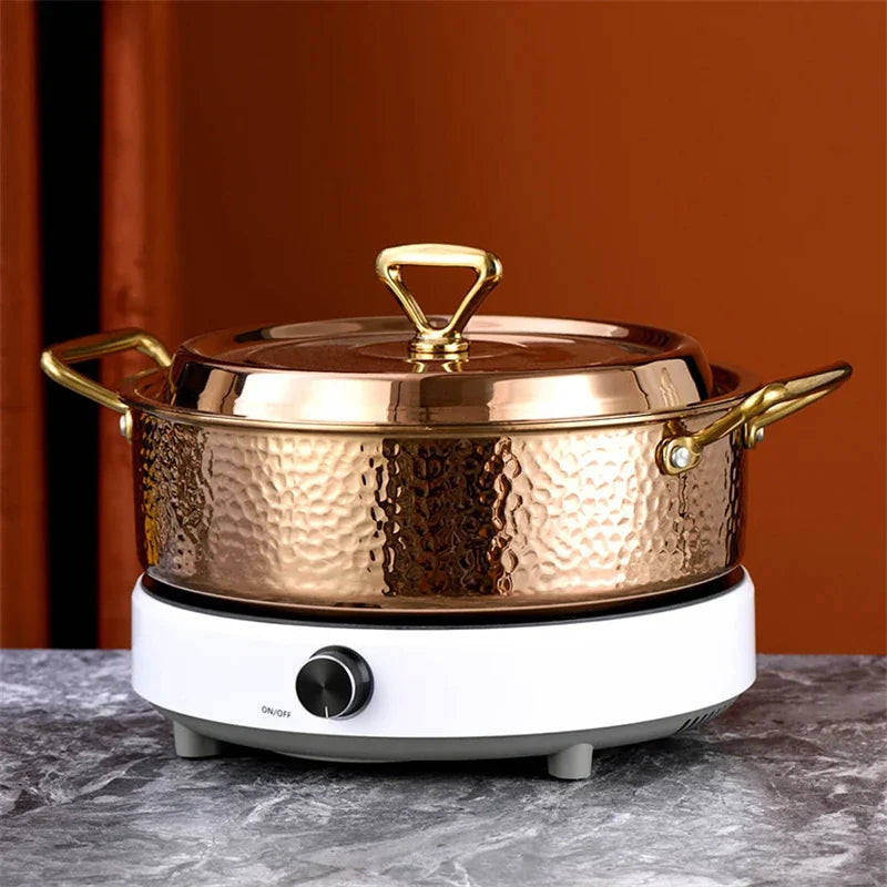 Stainless Steel Special induction cooker - CVO Ventures