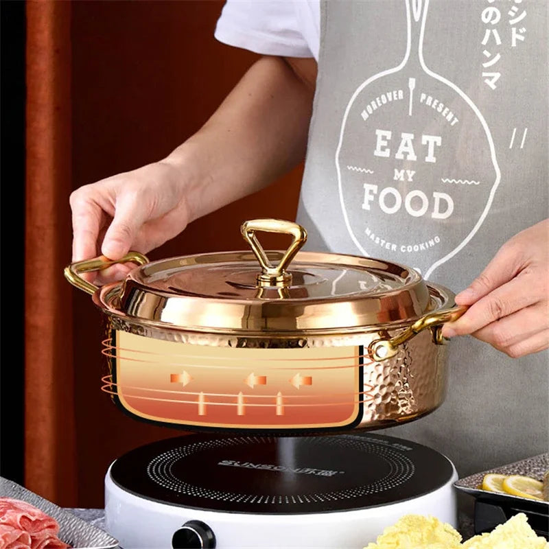 Stainless Steel Special induction cooker - CVO Ventures