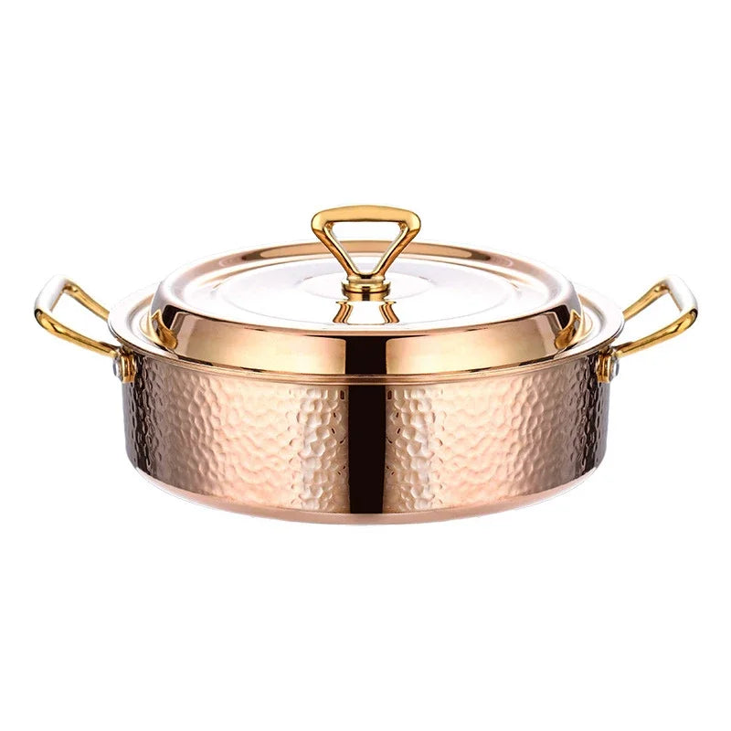 Stainless Steel Special induction cooker - CVO Ventures