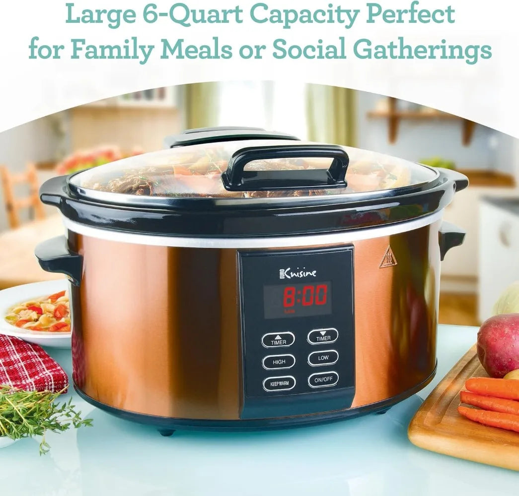 Programmable Slow Cooker - CVO Ventures