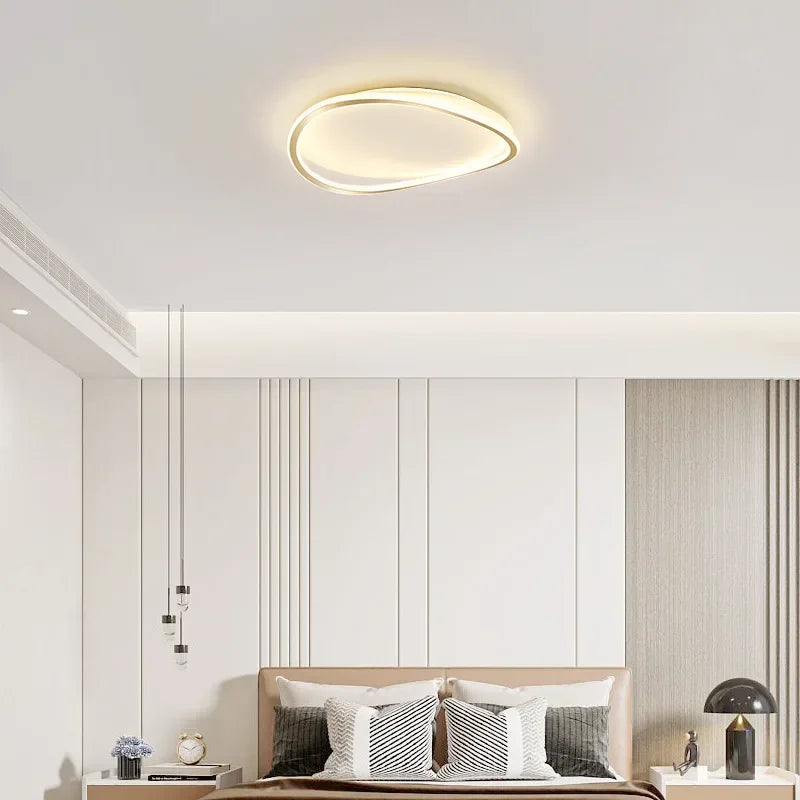 Modern LED Ceiling chandelier Lamp