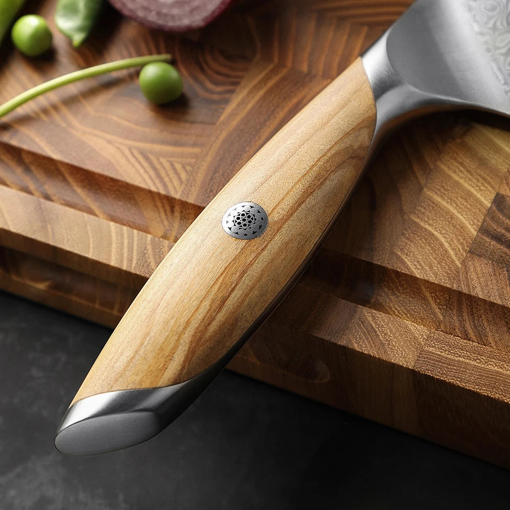 Steel Kitchen Knife - CVO Ventures