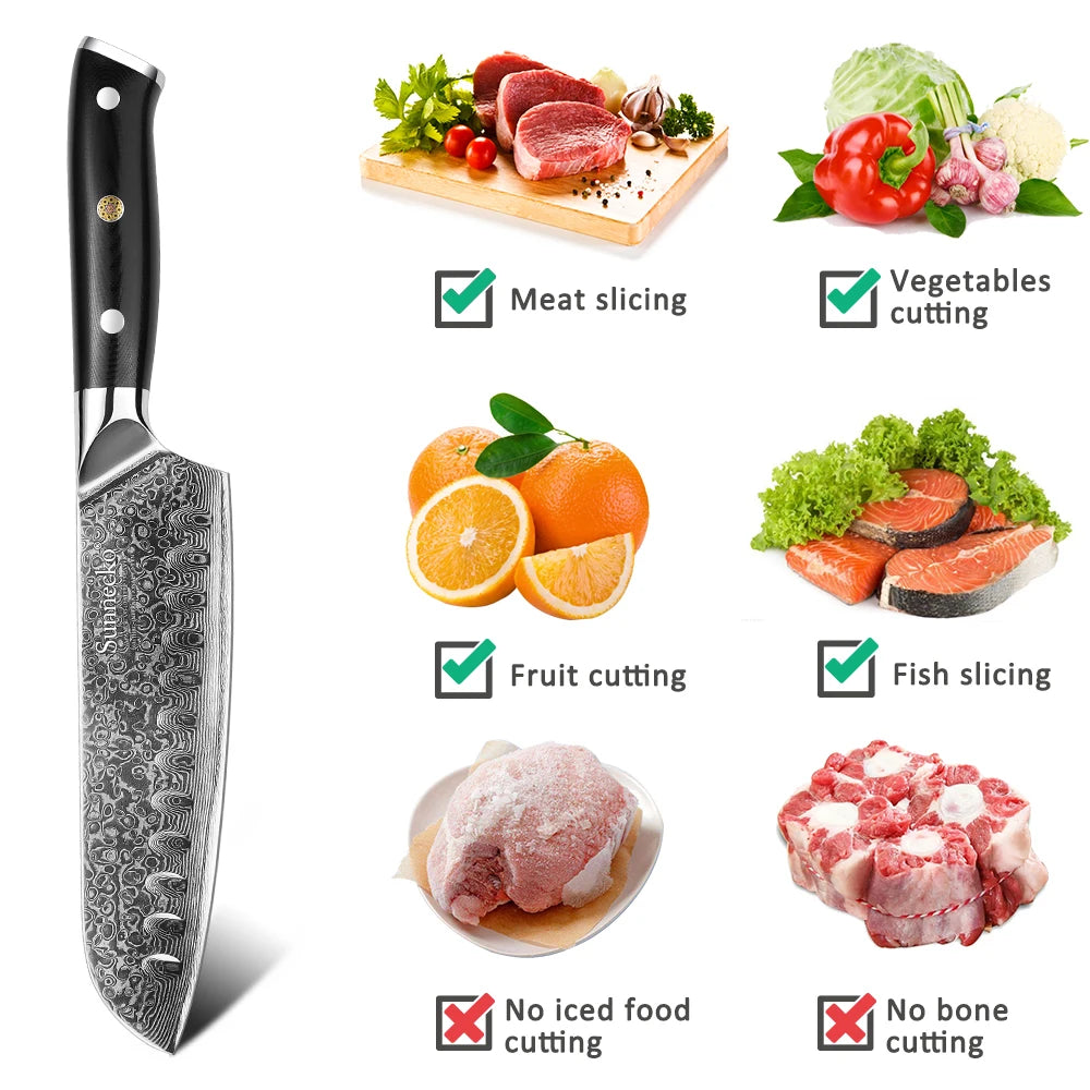 Classic Japanese Ultra Sharp Chef's Meat Cutting Knife - CVO Ventures