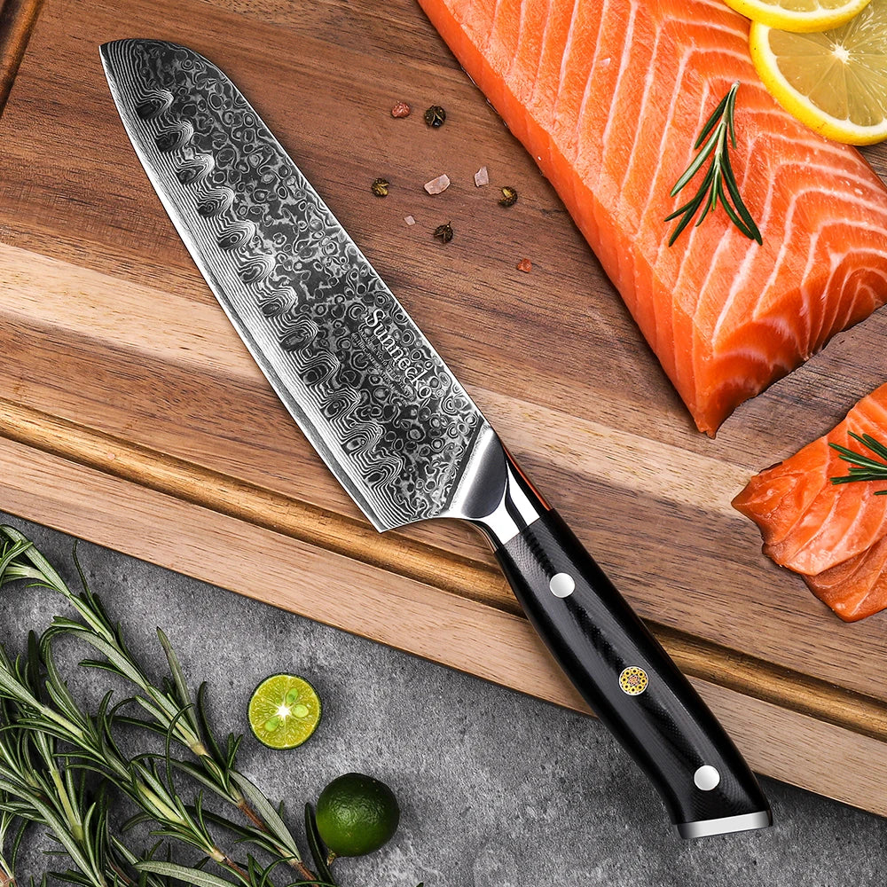 Classic Japanese Ultra Sharp Chef's Meat Cutting Knife - CVO Ventures